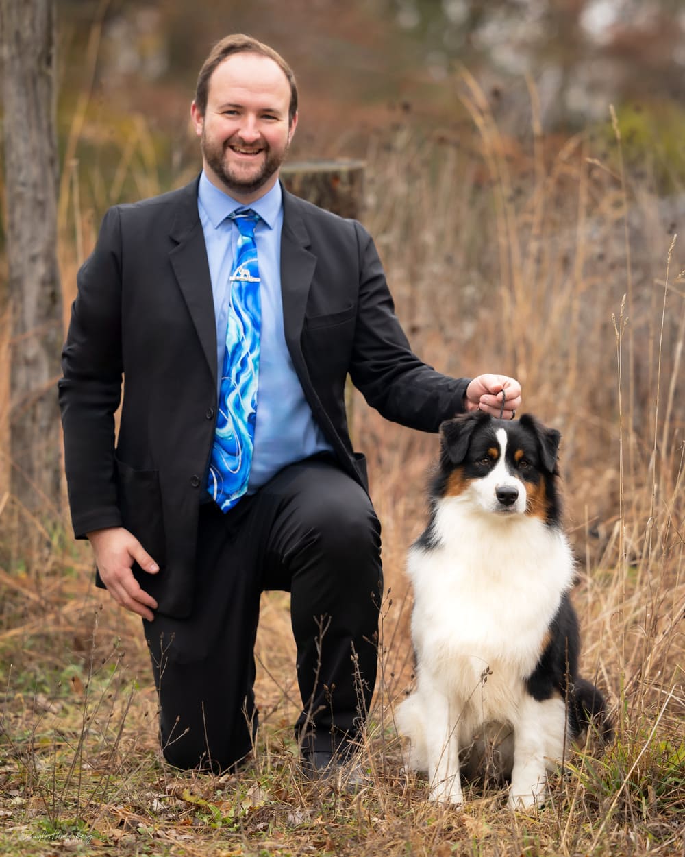 Australian shepherd Dazen