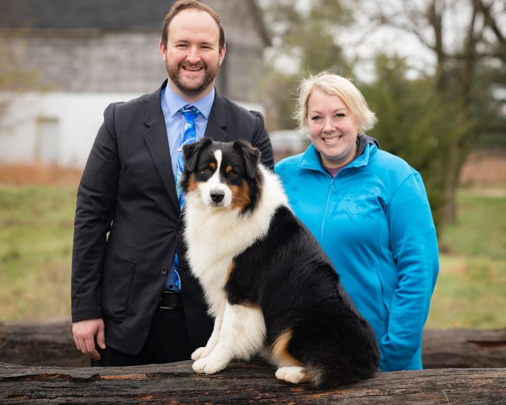 Australian shepherd Dazen