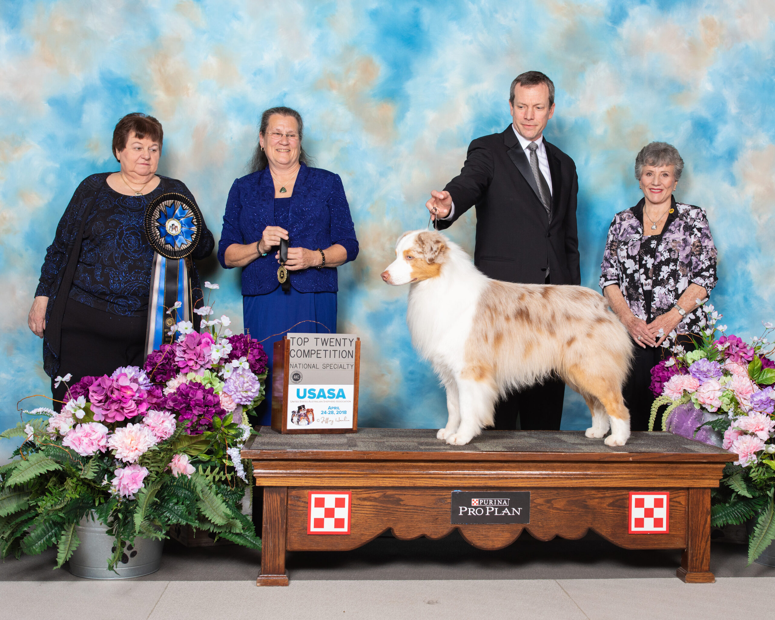 Rocky the aussie winning an award