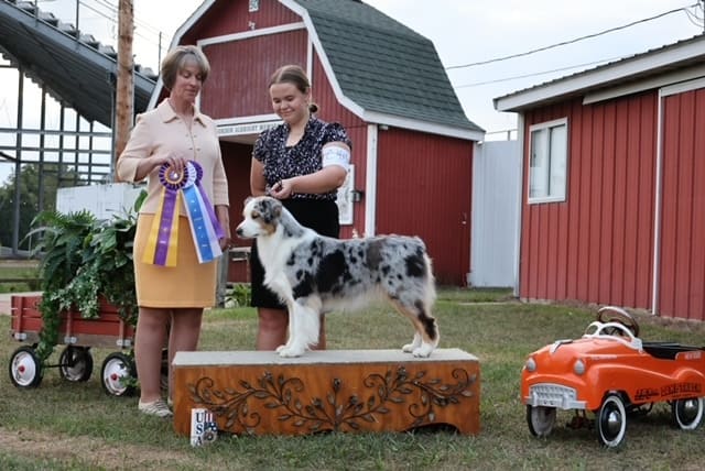 Aussie Skye winning award